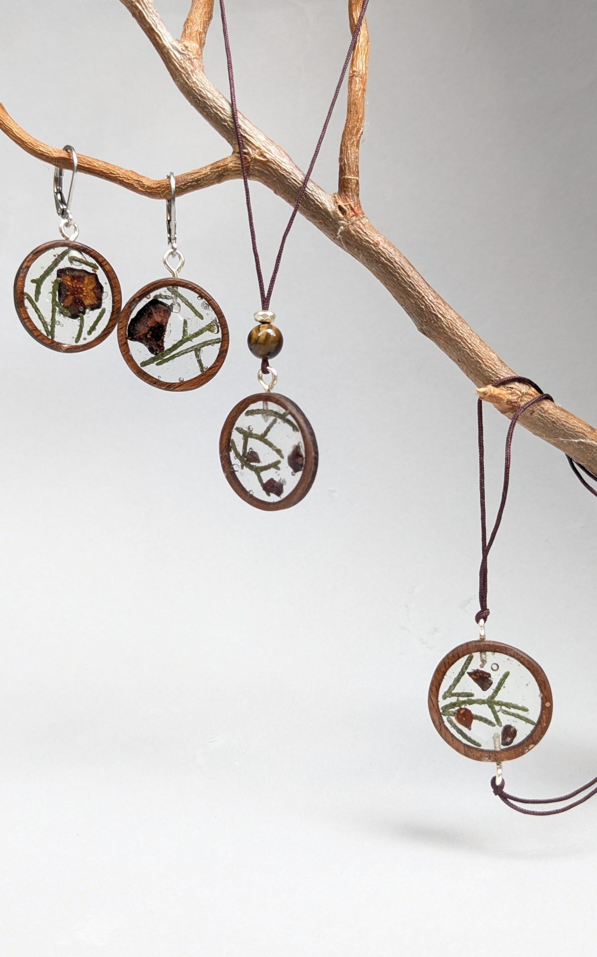 bijoux cyprès, arbre de naissance