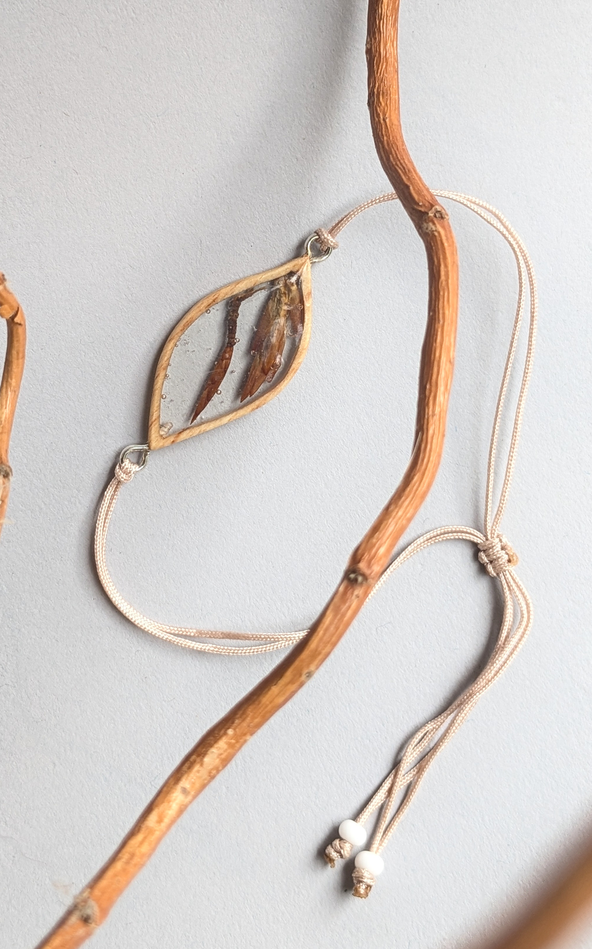 arbre de naissance, bijoux hêtre